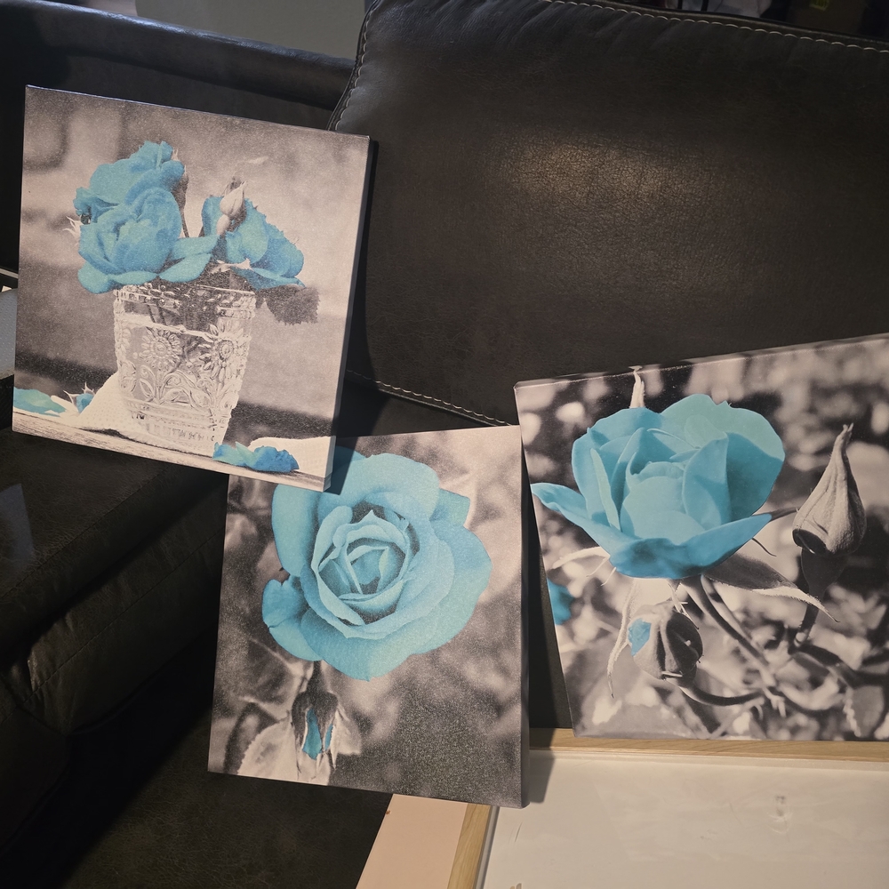 Blue Rose Canvas Art Set